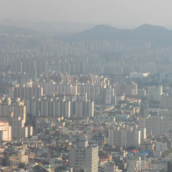 로열 리브스튜디오 홈타이 대표 안내 이미지