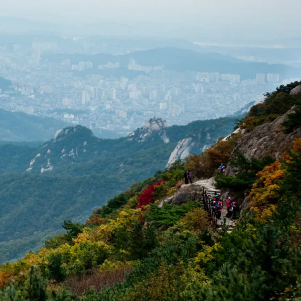 로열 라비앙스튜디오 홈타이 제휴업체 이미지